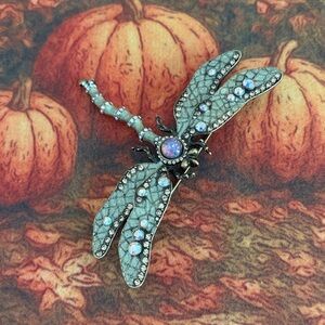 STUNNING 
Joan Rivers Classics Collection 
Iridescent Dragonfly Brooch